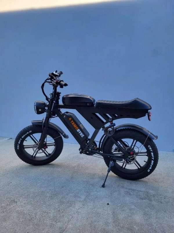 10003 tamobyke v30