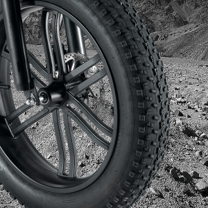 V20 20 inch fat tire